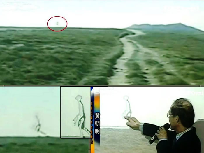 ̨��̨��������������������Ƭ����������ȷ������α��