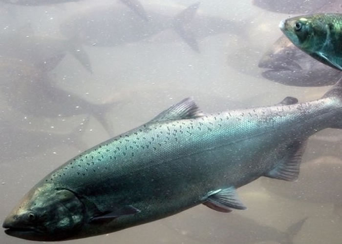 �о���Ա�ڵ������������ϻ��������ҩ�