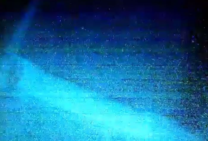 ��ͷ���������ѣ�ײ���컨���ϡ�