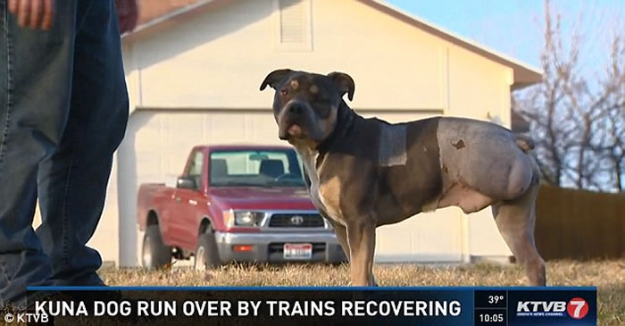 ����������·�챻13�л�շ�����Ѳ���