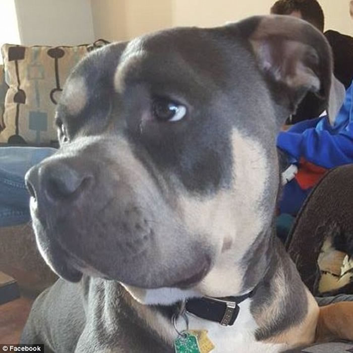 ����������·�챻13�л�շ�����Ѳ���