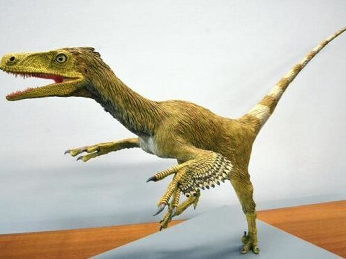 日本胜山市发现白垩纪前期恐龙化石新品种“反论的福井猎人”