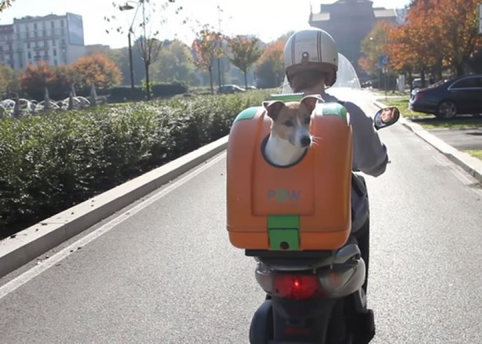 �����˾���Ħ�г�ר�õ�������β��Pet On Wheels