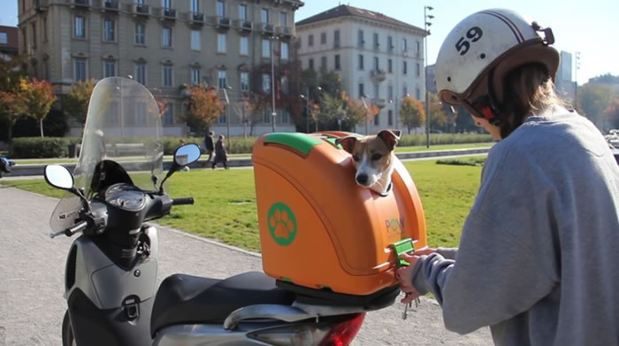 �������п�ס������Ƥ���ۣ���ֹ�����ڰ�;������