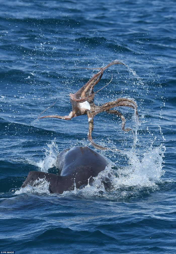 ���޺��ࡰ�۸�������