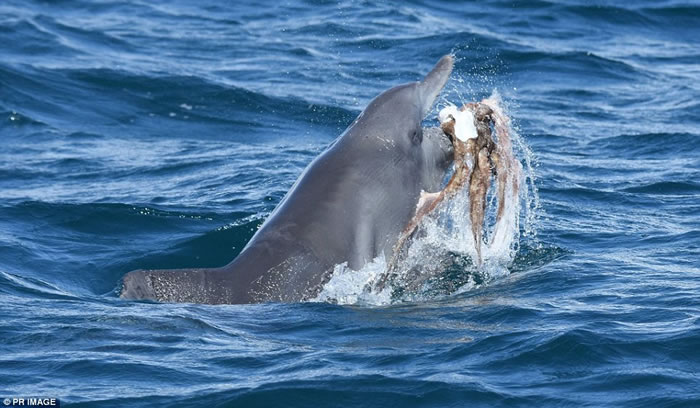 ���޺��ࡰ�۸�������