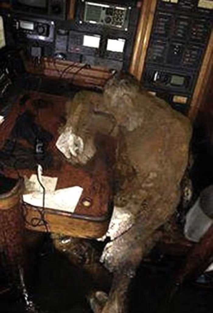 专家指,巴若拉特的死亡相信来得十分突然。