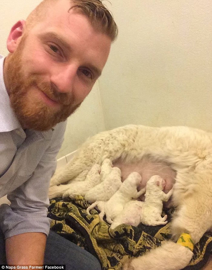 ������������Ȯһ̥17ֻ ���˳Ƽ�ֱ���