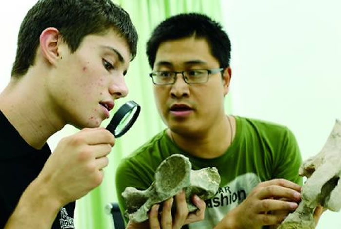 正在研究恐龙化石的美国高中生Jacob