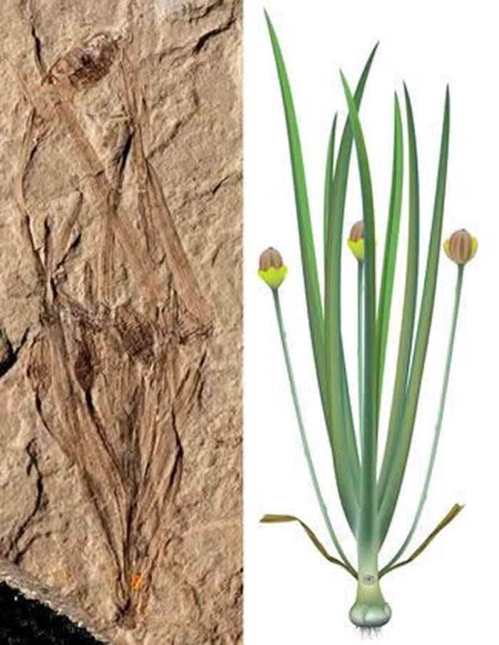 ѧķȫĲݱֲ1.64ǰĲ٪޲