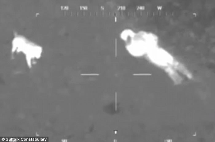 ֱ��������̽�����������з������Ӻ���Ȯ