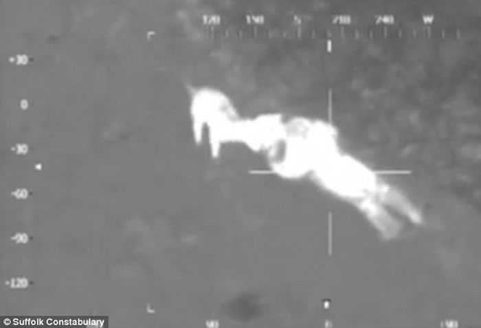 ֱ��������̽�����������з������Ӻ���Ȯ