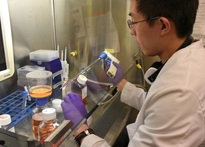 �о���Ա����կ��������ֱ�ӡ�����������ϸ����