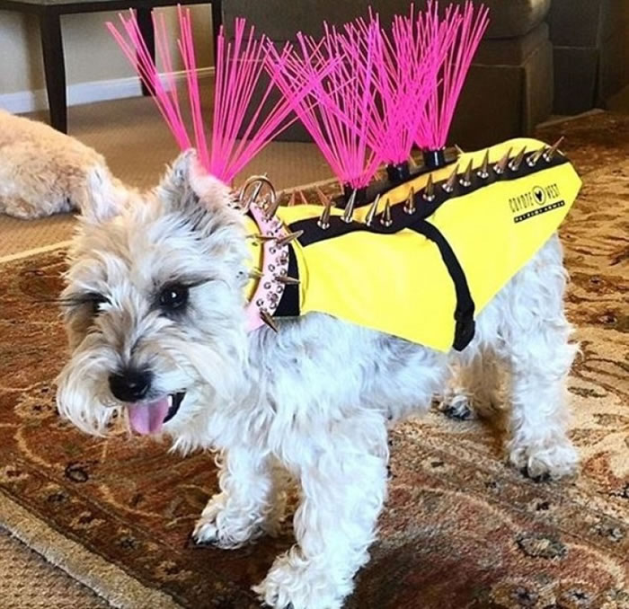 Ī��������ʾ����Ʊ�����Ϊ�˱��ⰮȮ����������Ϯ����