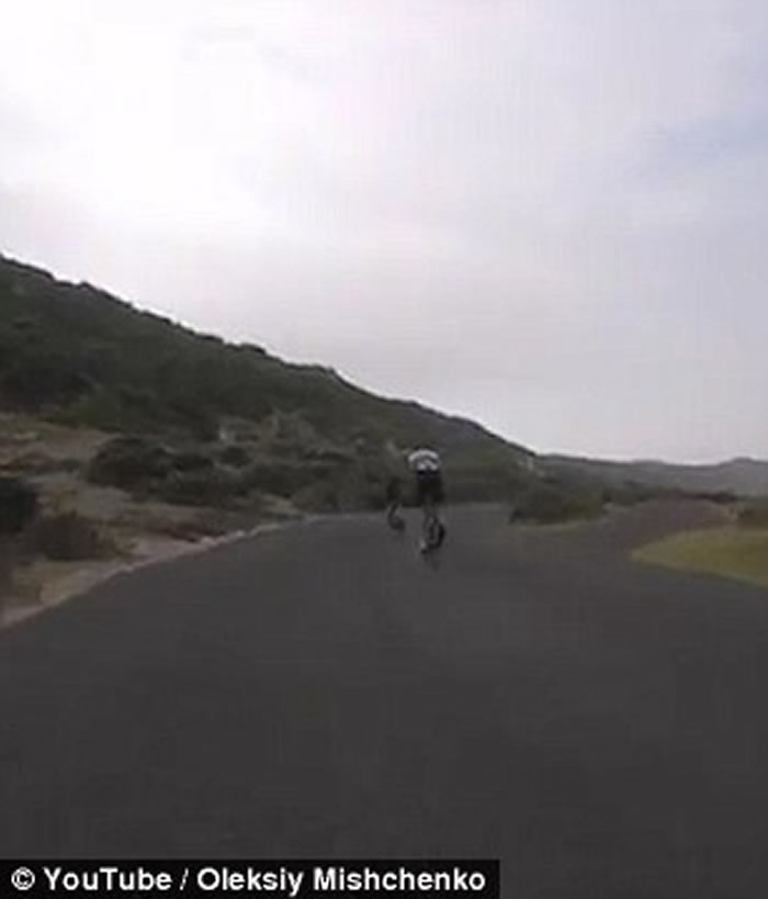 新奇影片:南非单车骑士竞速 遭鸵鸟乱入