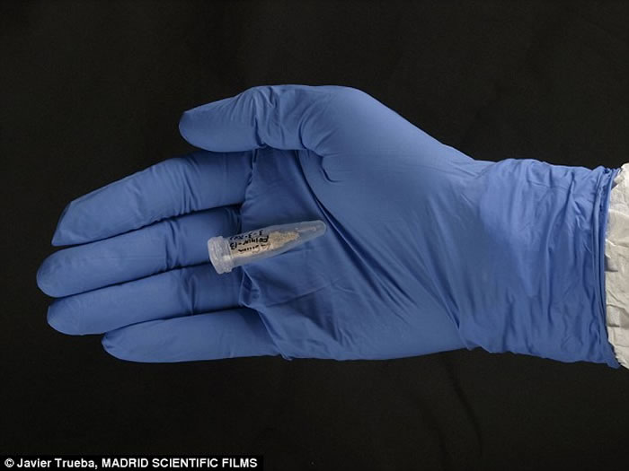 科学家对43-30万年前最古老穴居人骨骼标本DNA进行测序