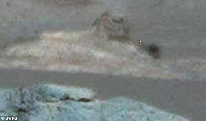 ��ͼ��ɫ�ʵ���ʱ�ܹ��������ؿ�������ʯ��ʨ��������������ԡ�