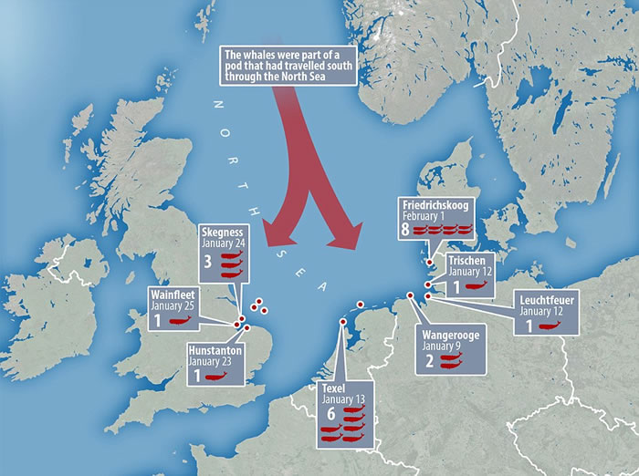 ��ʮͷĨ�㾨������̰�Ը�ǳŷ�޸�����̲