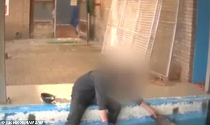 荷兰哈尔德韦克海豚馆饲养员在喂食海豚之前摸其生殖器视频被曝光 网友强烈谴责