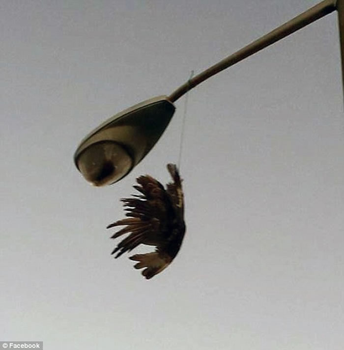 ������˹�طƶ����ؽ����ʬ�嵹���ڵ��߸�����������ͬ��