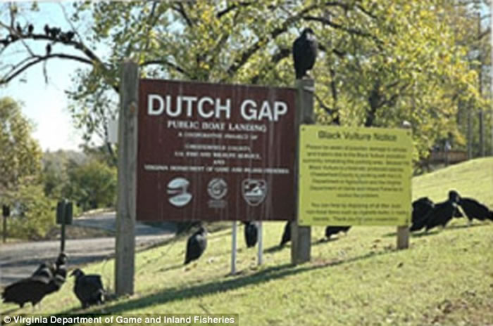 ������˹�طƶ����ؽ����ʬ�嵹���ڵ��߸�����������ͬ��