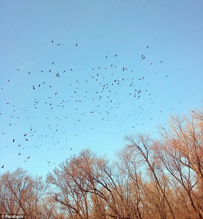 ������˹�طƶ����ؽ����ʬ�嵹���ڵ��߸�����������ͬ��