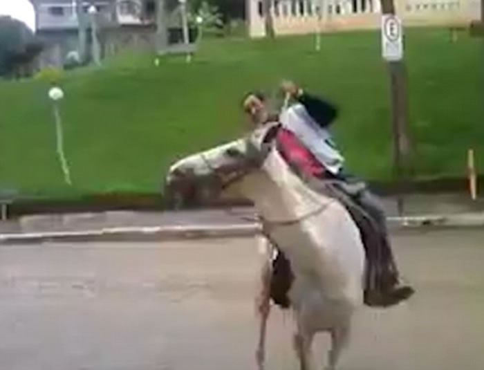 ��Ц��Ƶ�������������������������ѷ��ת��