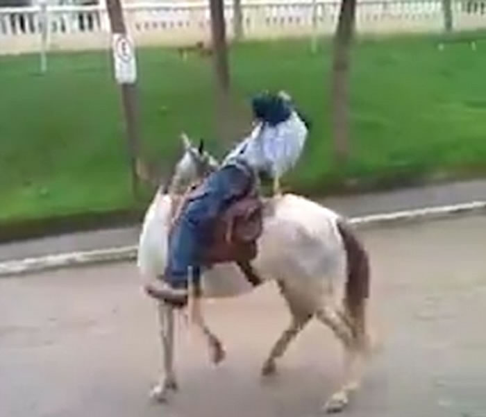 ��Ц��Ƶ�������������������������ѷ��ת��