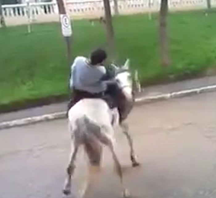 ��Ц��Ƶ�������������������������ѷ��ת��