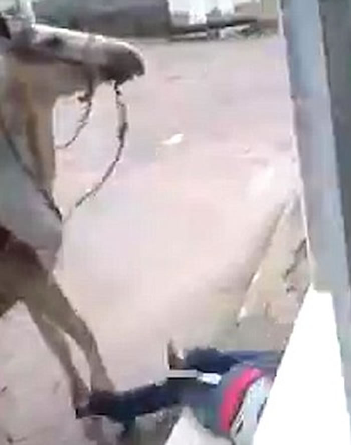 ��Ц��Ƶ�������������������������ѷ��ת��