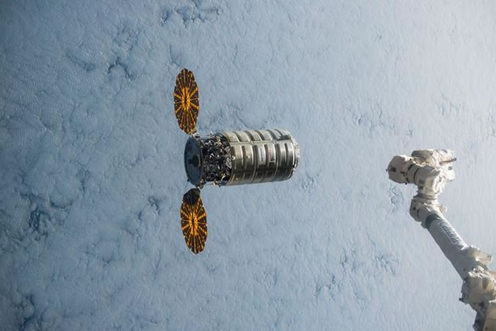 ����������ɴ�