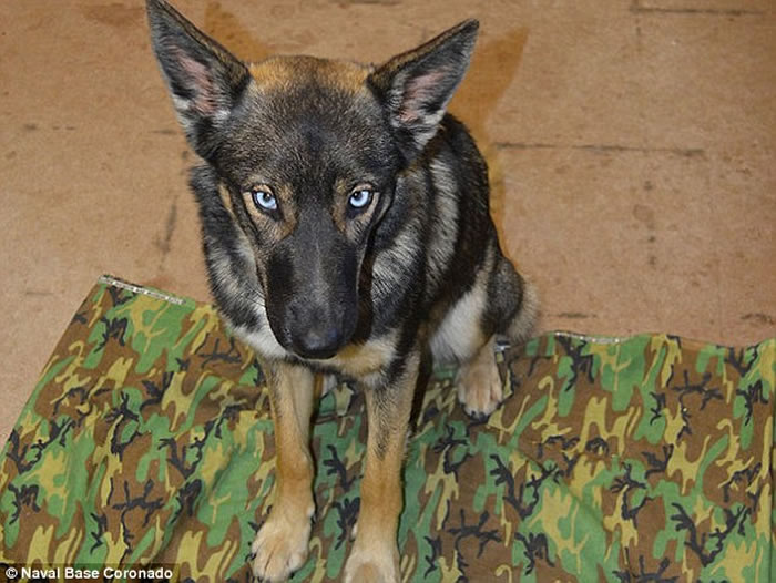 �������С��������ĵ¹���Ȯ�����˵����亣��ʧ��1������1.6����ؼ�