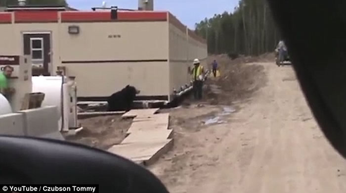 ���ܡ���ûע�⣡����װ�ɺ��ܡ����ơ�·��