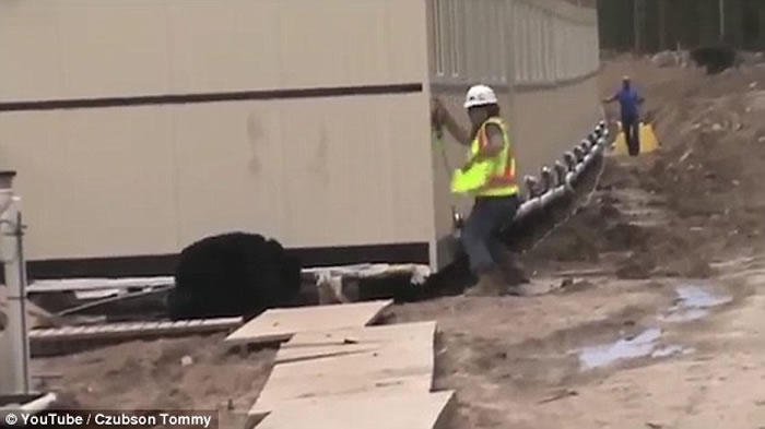 ���ܡ���ûע�⣡����װ�ɺ��ܡ����ơ�·��