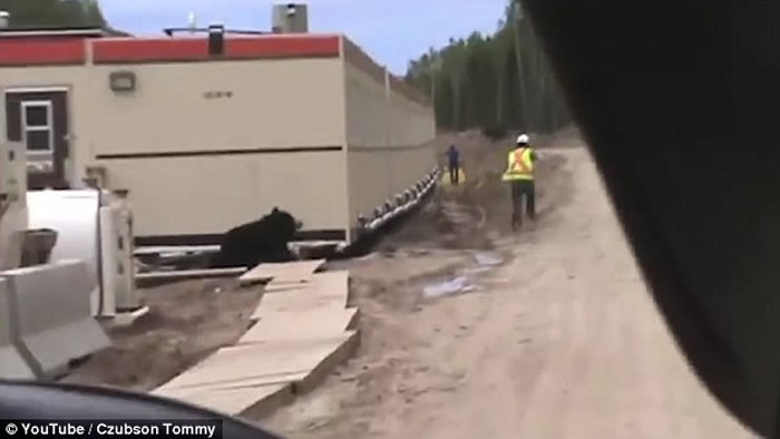 ���ܡ���ûע�⣡����װ�ɺ��ܡ����ơ�·��