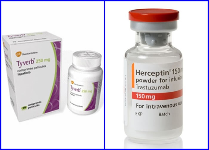 研究员混合泰嘉锭(左图)和赫赛汀(右图)治疗乳癌患者。