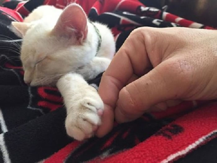 ��è���а��ģ������˷�����Ч��