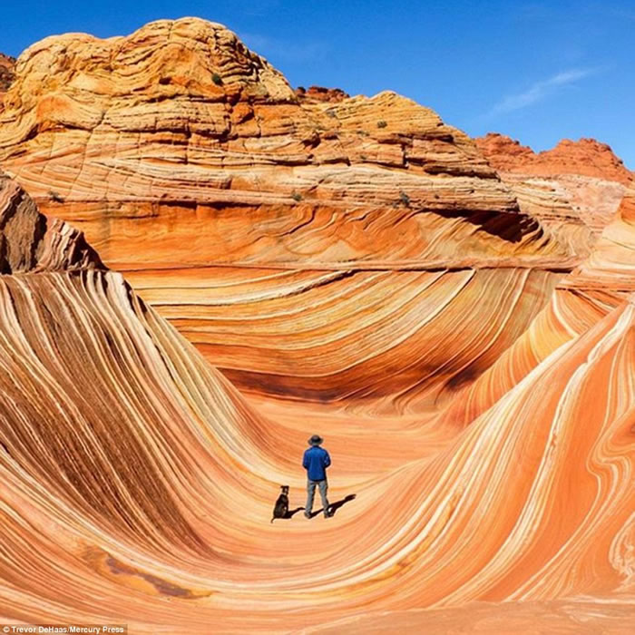 ������֢�д�ְ����Ȯ����ȫ����������Ҫ��þ���