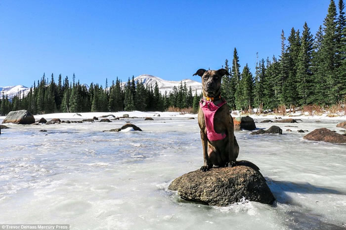 ������֢�д�ְ����Ȯ����ȫ����������Ҫ��þ���