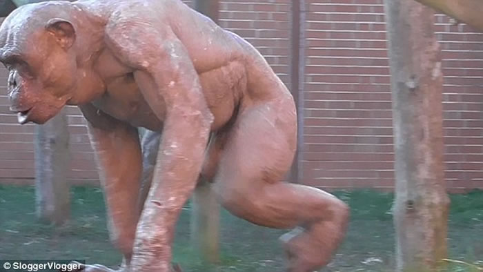 Ӣ����ɪ˹ͨ����԰10��ֻ������ȺŹ