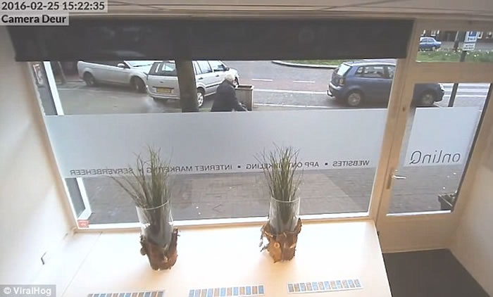 ����82���ϸ����ݡ�ʷ�����ͣ���������ٵ����ͺ�������