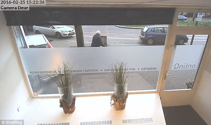 ����82���ϸ����ݡ�ʷ�����ͣ���������ٵ����ͺ�������