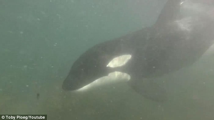 ��������Ǳ���ں��г���ʱ����������ɱ�˾�