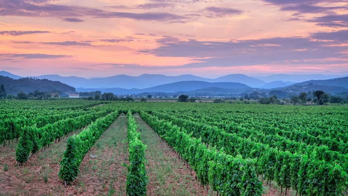 ���о�����ȫ���ůĿǰ�������������ѾƵ�����