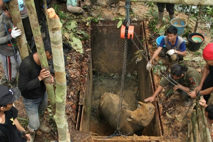 ���Ŵ���Ϭţ��ʧ40�������ӡ���������