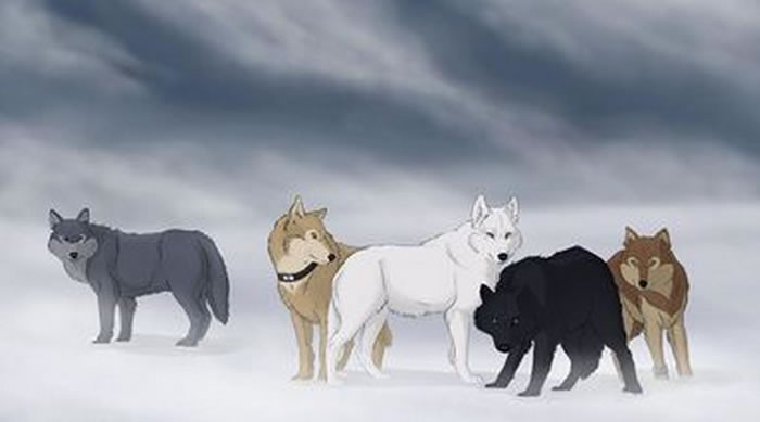 ��Զ������Щ��������ʧ����������1970��66���±����Ǽ���Ե���