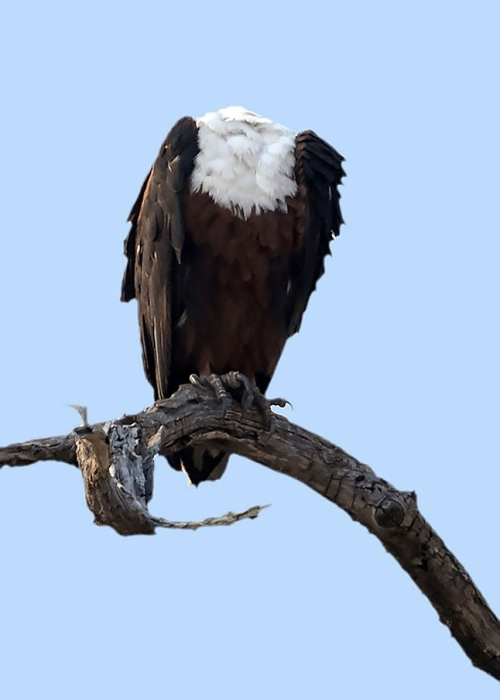 ��Ӱʦ�ٻ���һ�̣��𺣵�ͻȻŤͷ������������������Ȥ�ֵ���Ƭ��