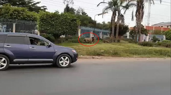 ޱϹҹ԰ʨӴ׶ץǿֻ