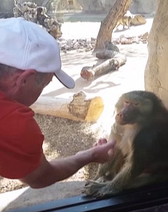 ������ӵ�����԰�ι�ʱ����ħ�� ������Ŀ�ɿڴ���