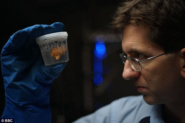 借转移意识达至永生 俄罗斯传媒大亨研阿凡达式人体